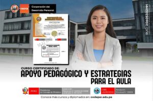 Curso en Apoyo Pedagógico y Estrategias para el Aula