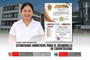Curso en Estrategias Didácticas para el Desarrollo de Competencias